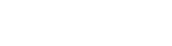 Sandvall-logo-white