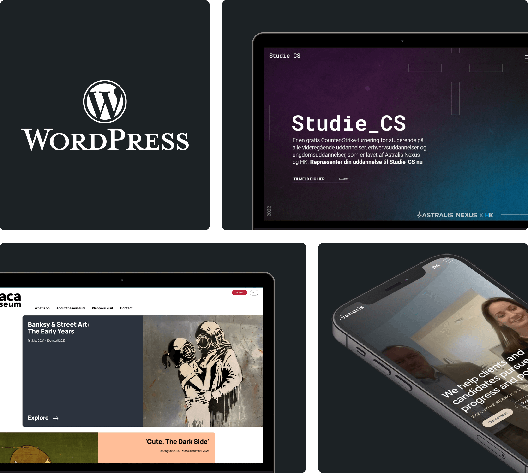 wordpress-hjemmeside-sandvall